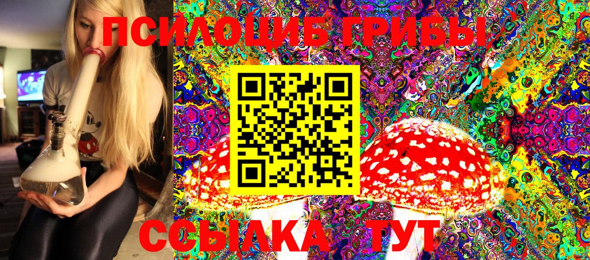 Псилоцибиновые грибы Magic Shrooms Москва